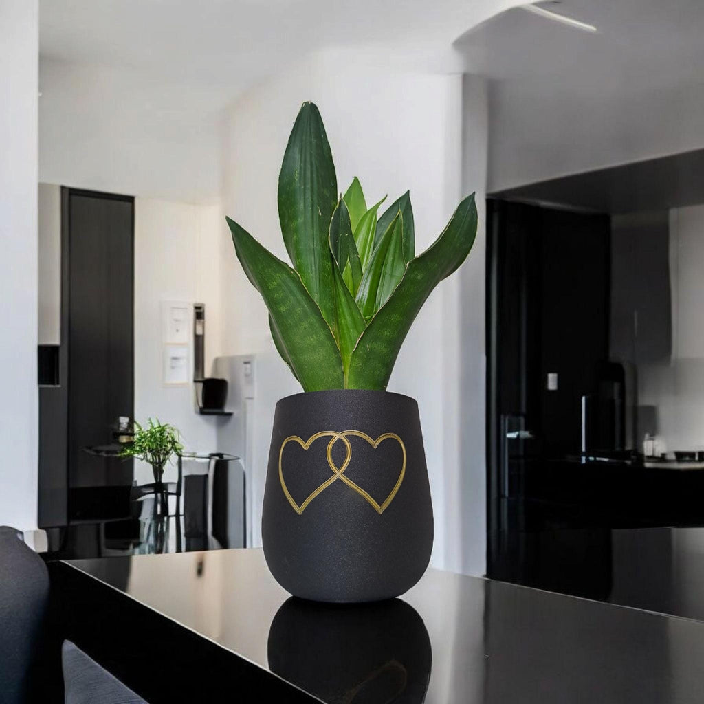 Modern Rounded Plant Pot – "Two Hearts" Design for Special Moments