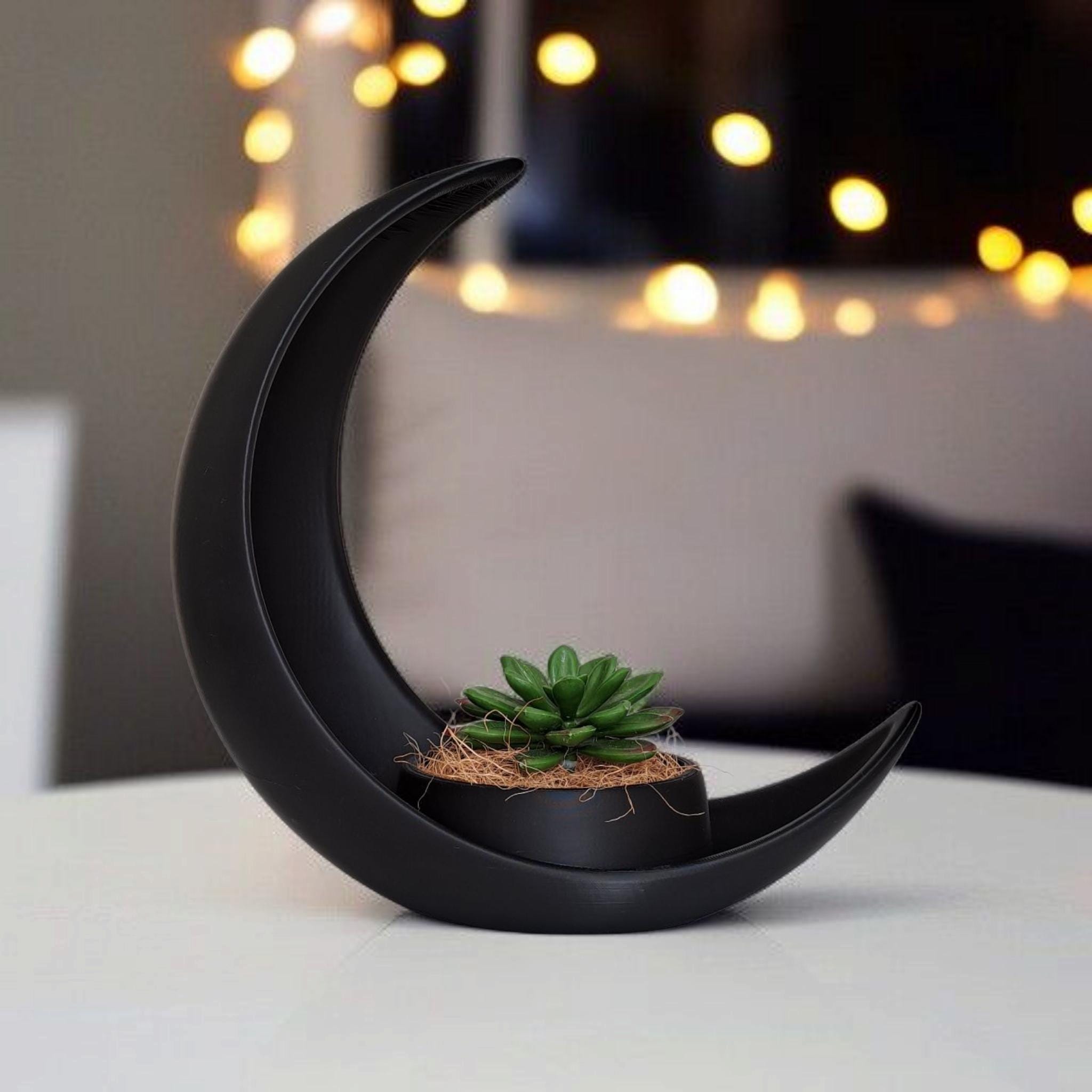 Crescent Moon With Integrated  Elliptical Plant Pot
