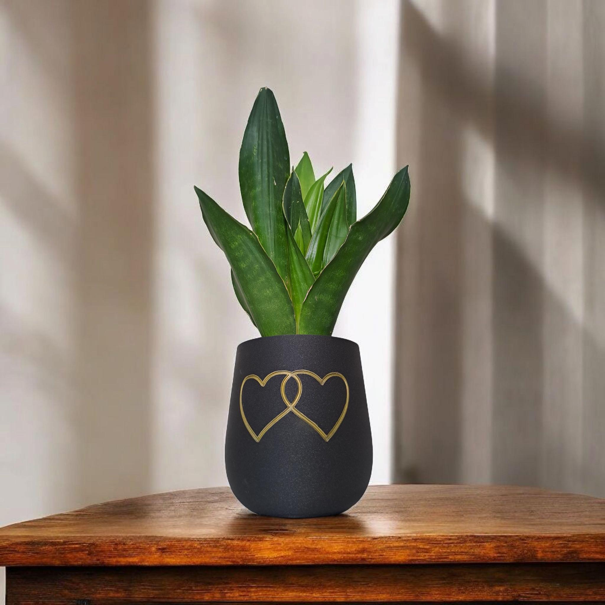 Modern Rounded Plant Pot – "Two Hearts" Design for Special Moments