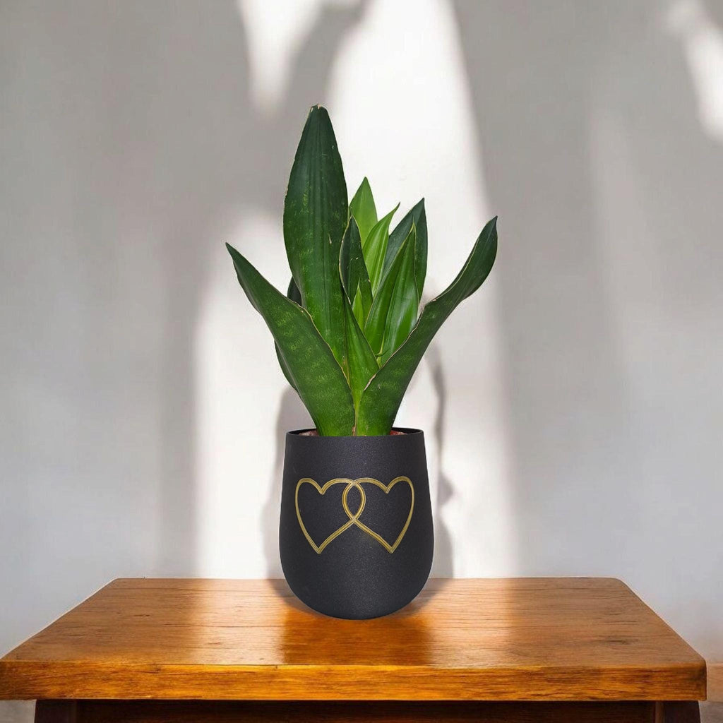 Modern Rounded Plant Pot – "Two Hearts" Design for Special Moments
