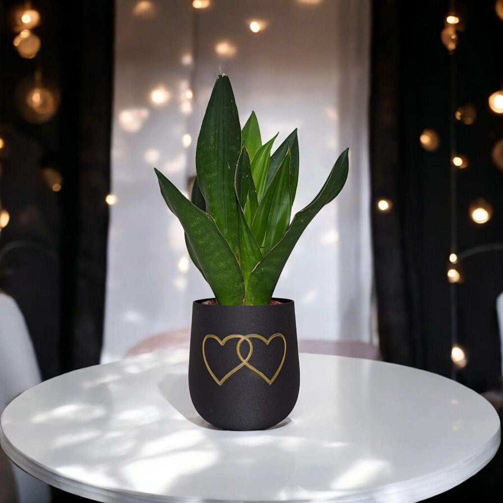 Modern Rounded Plant Pot – "Two Hearts" Design for Special Moments