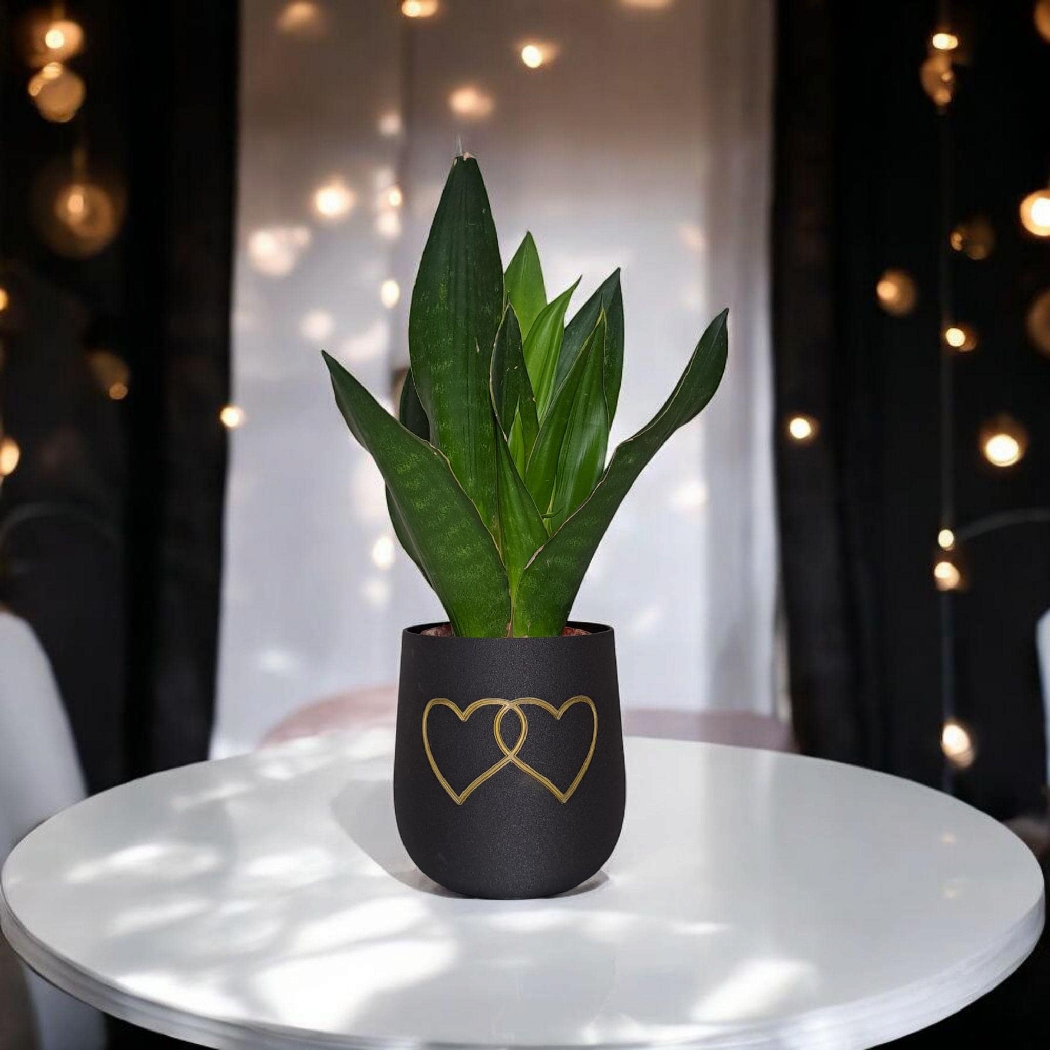 Modern Rounded Plant Pot – "Two Hearts" Design for Special Moments