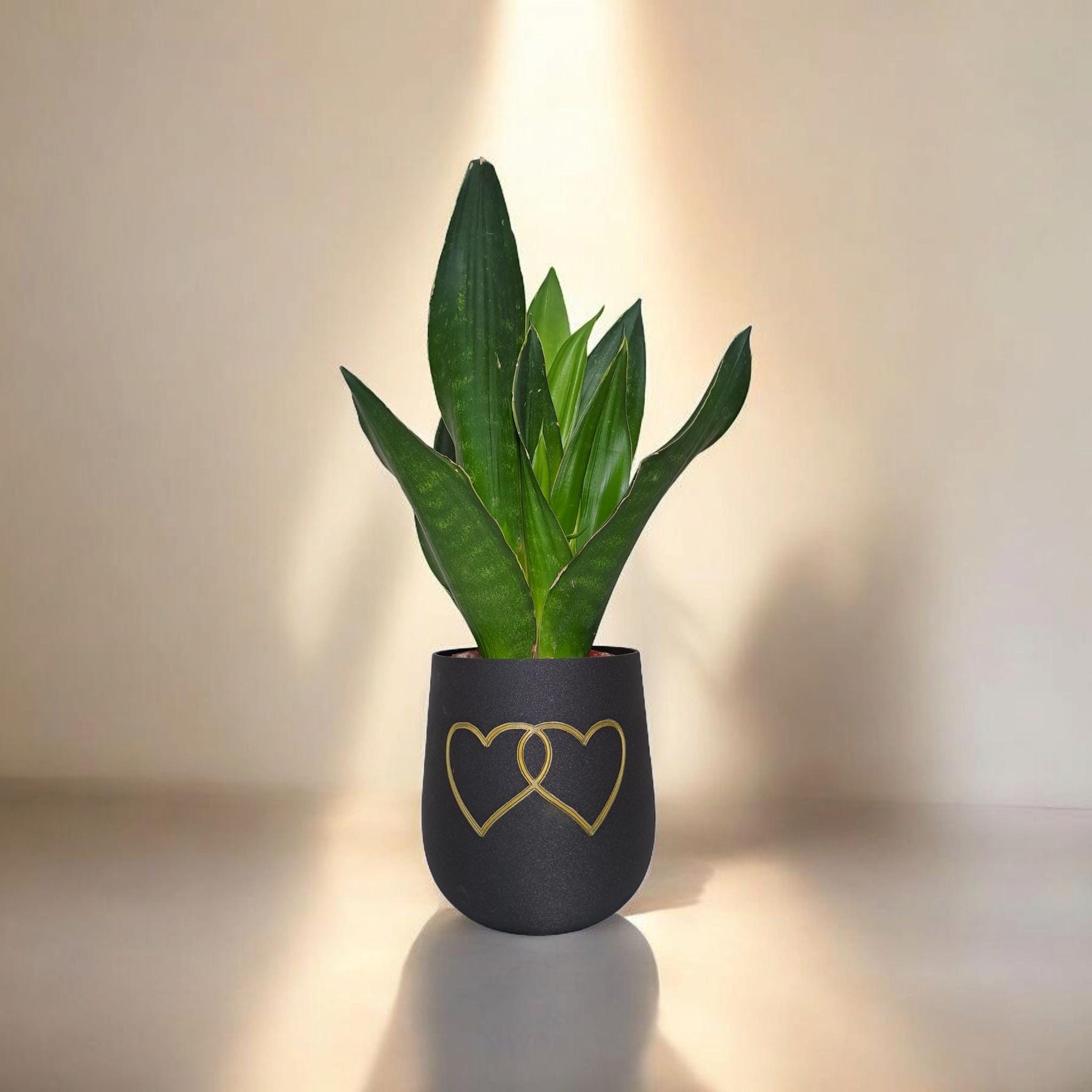 Modern Rounded Plant Pot – "Two Hearts" Design for Special Moments
