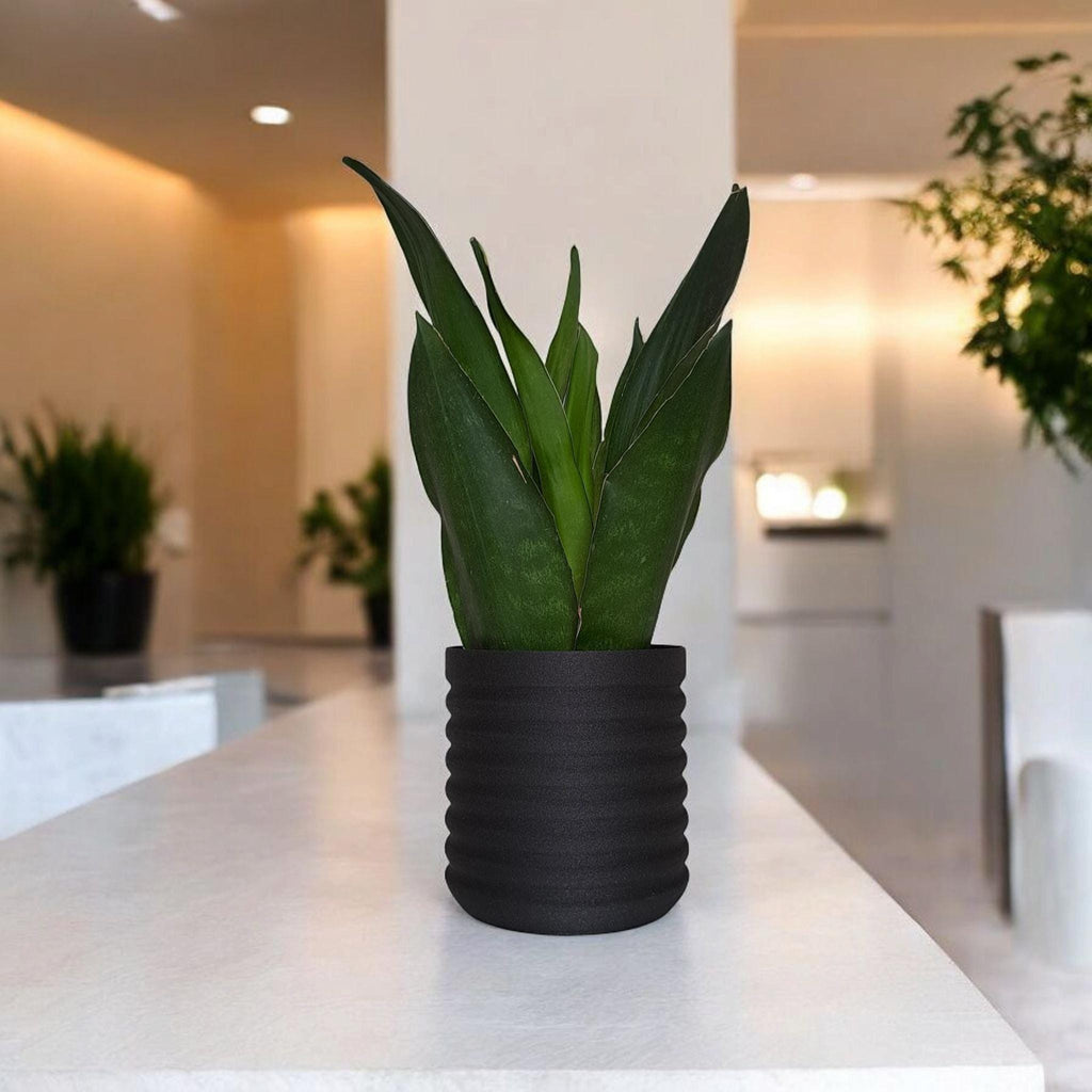 Modern Wavy Planter – RippleBloom