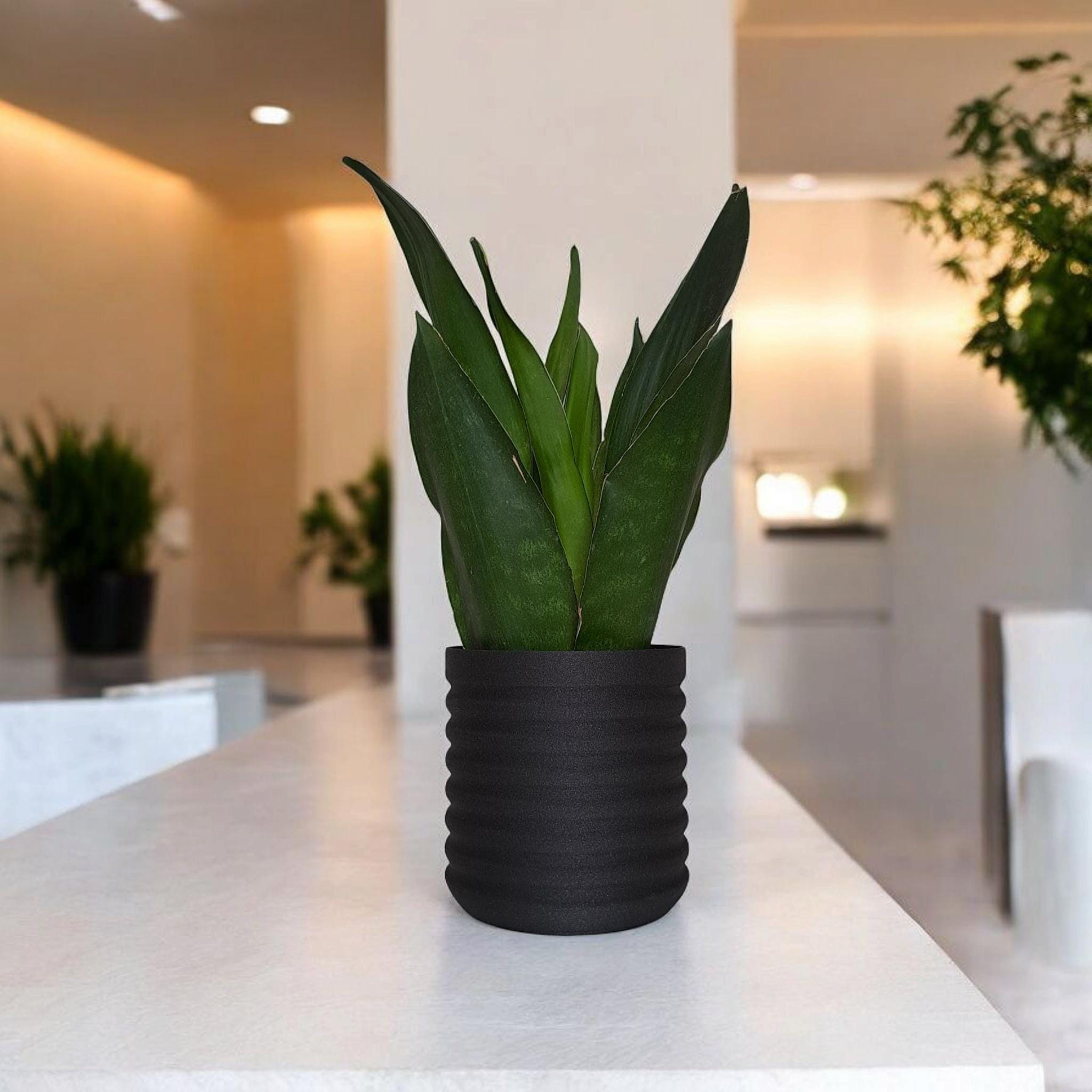 Modern Wavy Planter – RippleBloom