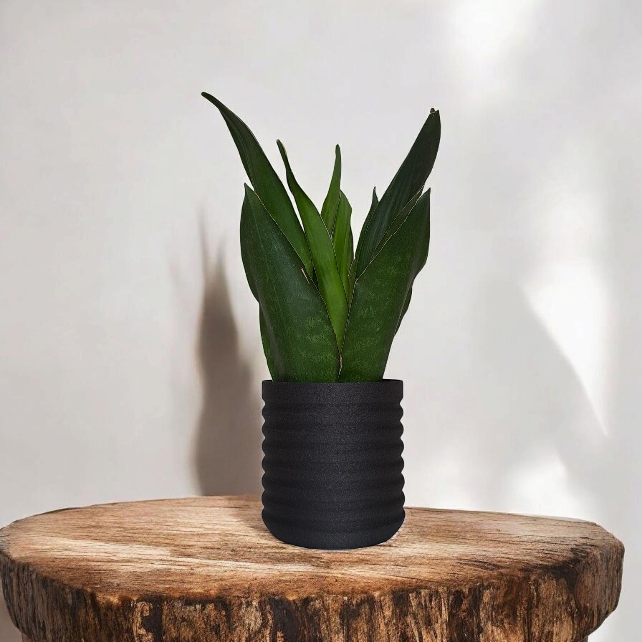 Modern Wavy Planter – RippleBloom